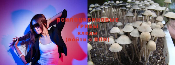 PSILOCYBIN Михайловск
