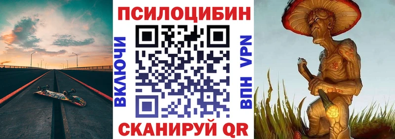 Купить где Карачев Псилоцибиновые грибы Psilocybine cubensis